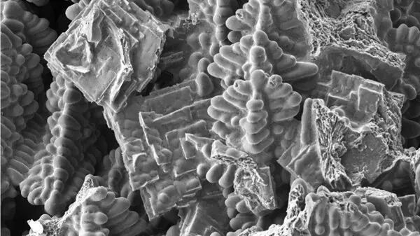 Electron microscope view of an aluminium alloy microstructure